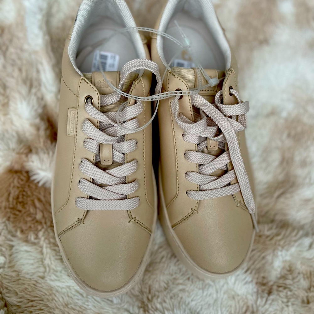 Coach Men's Lowline Suede Sneaker